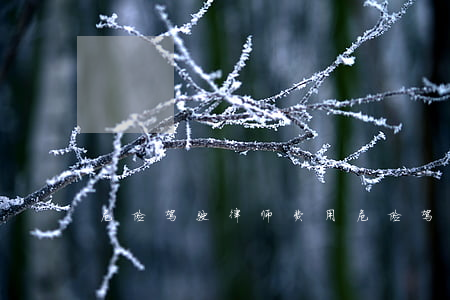 危险驾驶律师费用(危险驾驶律师费用)