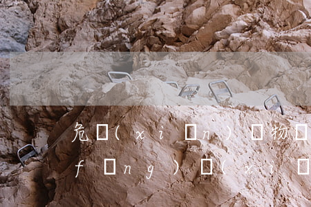 危險(xiǎn)廢物處置存在的法律風(fēng)險(xiǎn)