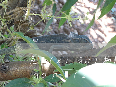 危險(xiǎn)物品肇事罪立案標(biāo)準(zhǔn)_2021危險(xiǎn)物品肇事罪量刑標(biāo)準(zhǔn)和認(rèn)定構(gòu)成要件