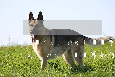 危險(xiǎn)駕駛罪不起訴影響(危險(xiǎn)駕駛罪如何不起訴)