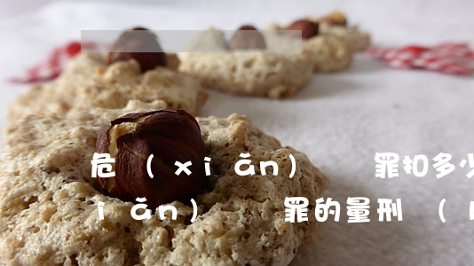 危險(xiǎn)駕駛罪扣多少分(危險(xiǎn)駕駛罪的量刑標(biāo)準(zhǔn))
