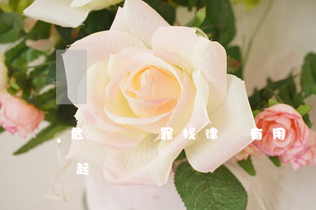危險駕駛罪找律師有用嗎(危險駕駛罪可以不起訴嗎)
