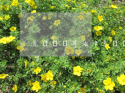 危險駕駛罪法律意見書(危險駕駛罪判決書合集)