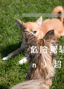 危險駕駛罪量刑標(biāo)準(zhǔn)(超員危險駕駛罪量刑標(biāo)準(zhǔn))