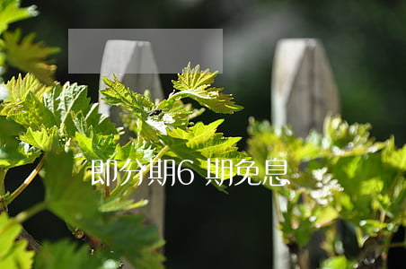 即分期6期免息