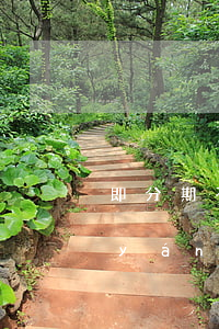 即分期不還款后果-即分期不還款后果嚴(yán)重