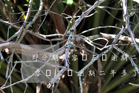 即分期美容貸三萬逾期二年多了-即分期美容貸三萬逾期二年多了會怎么樣