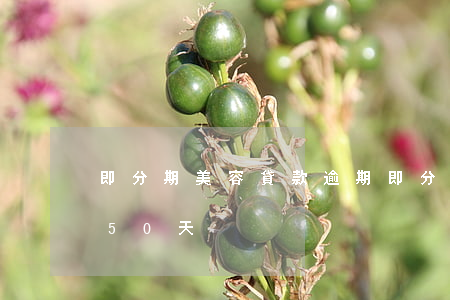 即分期美容貸款逾期(即分期美容貸款逾期150天)