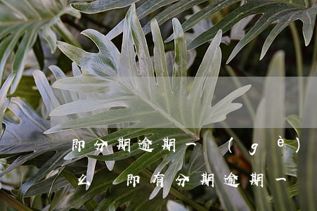 即分期逾期一個(gè)月會(huì)怎么樣（即有分期逾期一個(gè)月要起訴我）