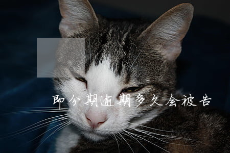 即分期逾期多久会被告