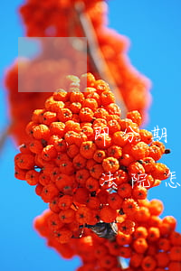 即分期逾期起訴-即分期逾期起訴說讓我去法院怎么辦
