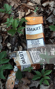 即刻普惠逾期一天(即刻普惠逾期一天會(huì)怎么樣)