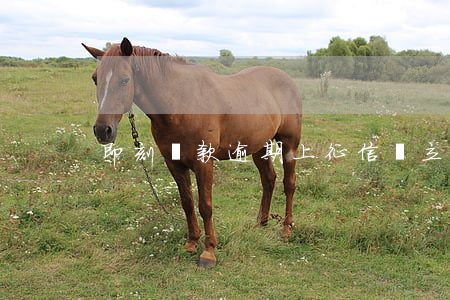 即刻貸款逾期上征信嗎(立即貸上征信嗎)