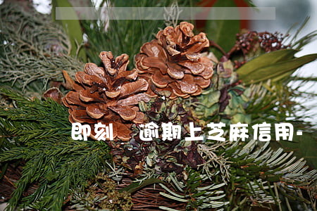 即刻貸逾期上芝麻信用-立刻貸是真的嗎