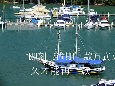 即刻貸逾期還款方式(立即貸逾期后還款了,多久才能再貸款?)