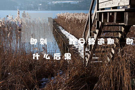 即刻貸還款日算逾期嗎(即刻有貸款逾期不還什么后果)