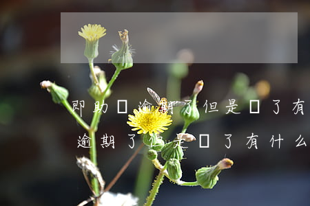 即助貸逾期了但是還了有什么影響-即助貸逾期了但是還了有什么影響嗎