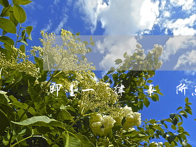 即墨一諾律師事務所怎么樣