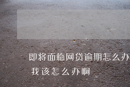 即将面临网贷逾期怎么办(网贷面临全面逾期,我该怎么办啊)