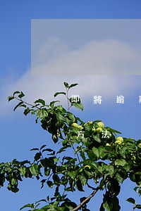 即將逾期怎么處理-逾期無力還款最佳處理方法
