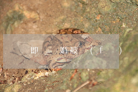 即將離婚被發(fā)現出軌怎么辦