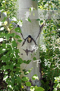 即有分期付款只還本金(既有分期還完本金,剩下的不還會(huì)怎么樣)