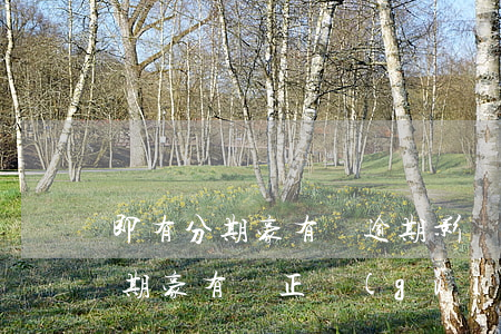 即有分期豪有錢逾期影響信用卡嗎-即有分期豪有錢正規(guī)嗎