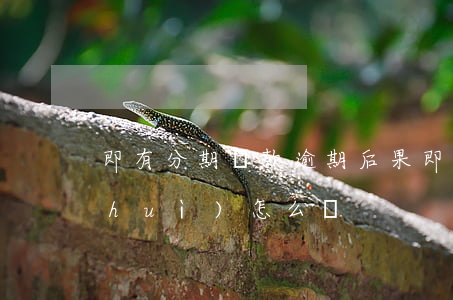 即有分期貸款逾期后果(即分期貸款逾期會(huì)怎么樣)