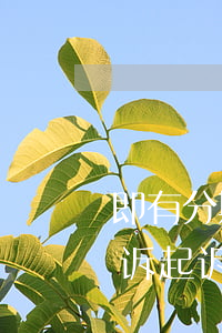 即有分期逾期会起诉吗 来分期逾期多久会起诉?起诉是真的吗