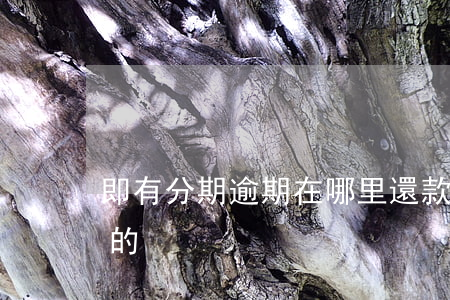 即有分期逾期在哪里還款(有沒有來分期逾期的)