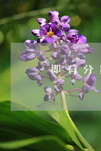 即有分期逾期多久會自動取消嗎-