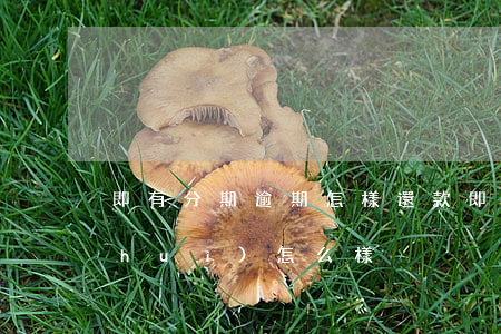 即有分期逾期怎樣還款(即分期逾期不還會(huì)怎么樣)