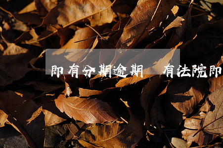 即有分期逾期會有法院(即分期逾期被起訴)