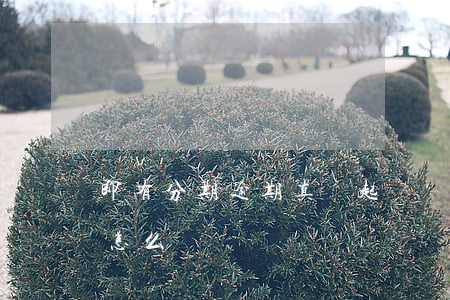 即有分期逾期真會起訴嗎-即分期逾期起訴怎么辦