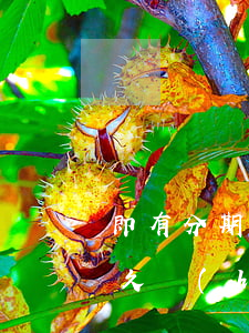 即有分期逾期要起訴是真的嗎(來分期逾期多久會(huì)起訴?起訴是真的嗎)