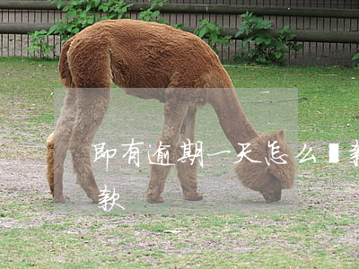 即有逾期一天怎么還款(即有逾期一天怎么還款)