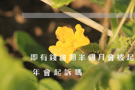 即有錢逾期半個月會被起訴嗎(有錢花逾期半年會起訴嗎)