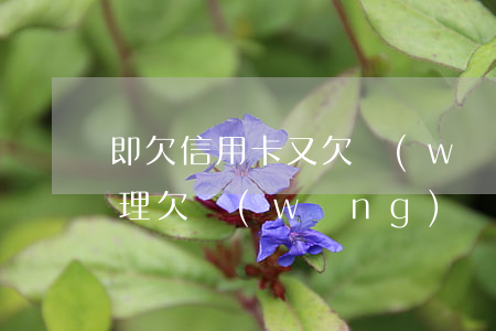 即欠信用卡又欠網(wǎng)貸該如何處理(欠網(wǎng)貸信用卡不還會(huì)有什么后果)
