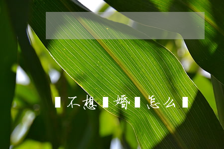 卻不想離婚該怎么辦