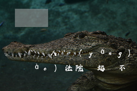 卻無人贍養(yǎng)老人可以上報(bào)法院嗎(起訴不贍養(yǎng)老人必須需要父母才能起訴嗎)