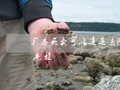 厂房买卖可以通过法院吗(法院拍卖厂房过户流程)
