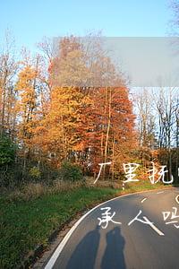 厂里抚恤金怎么继承(抚恤金生前可以指定继承人吗)