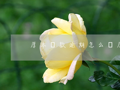 厚本貸款逾期怎么辦(厚本貸款逾期怎么辦)