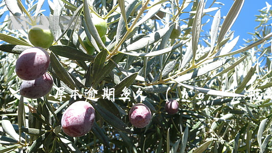 厚本逾期多久會(huì)被起訴