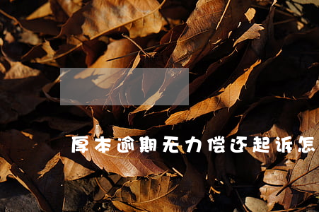 厚本逾期无力偿还起诉怎么办