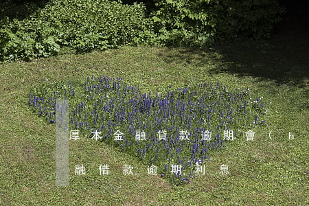 厚本金融貸款逾期會(huì)被起訴嗎 金融借款逾期利息