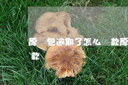 厚錢包逾期了怎么還款(厚錢包逾期了怎么還款)