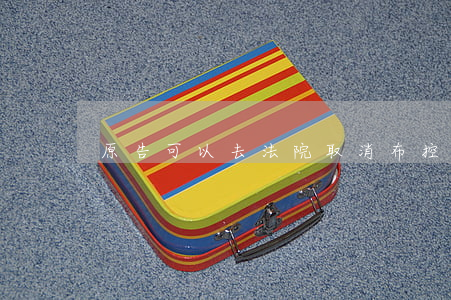 原告可以去法院取消布控嗎