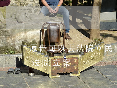 原告可以去法院立民事案嗎(民事上訴到哪個法院立案)