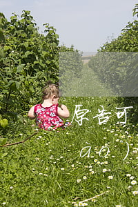 原告可以向法院申請(qǐng)調(diào)查令嗎(當(dāng)事人可以申請(qǐng)法院調(diào)查令嗎)